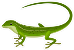 Smooth Lizard Sticker