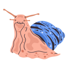 Snail Garden Gastropod Colorful Sticker