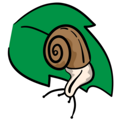 Snail On Leaf Sticker