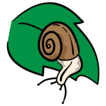 Snail On Leaf Sticker