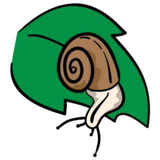 Snail On Leaf Sticker