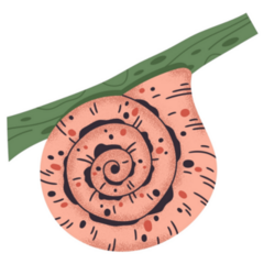 Snail Slow Gastropod On Plant Sticker