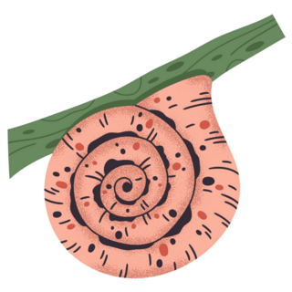 Snail Slow Gastropod On Plant Sticker