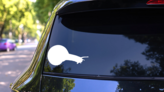 Snail Sticker on a Rear Car Window (New) example