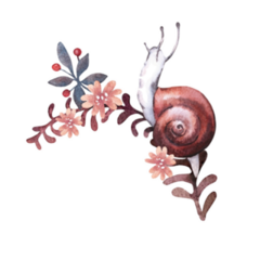Snail Watercolor Leaf Sticker