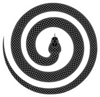 Snake Curled Into A Spiral Shape Sticker