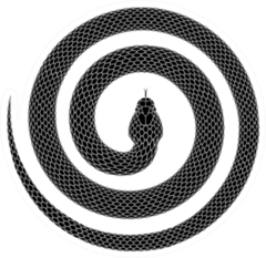 Snake Curled Into A Spiral Shape Sticker