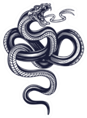 Snake. Hand Drawn Illustration Sticker