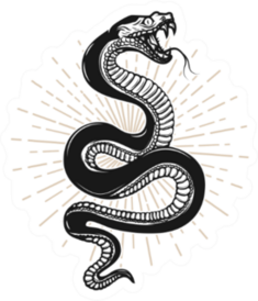 Snake Illustration On White Background Sticker