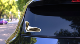 Snake Monocled Siamese Cobra Sticker on a Rear Car Window (New) example