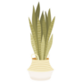 Snake Plant in Basket Sticker