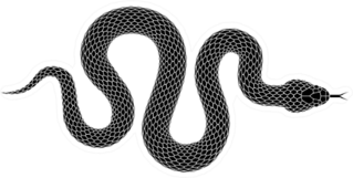 Snake Silhouette Illustration Sticker
