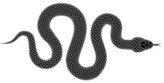Snake Silhouette Illustration Sticker
