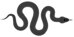 Snake Silhouette Illustration Sticker