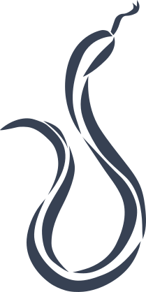 Snake With Stripe Sticker