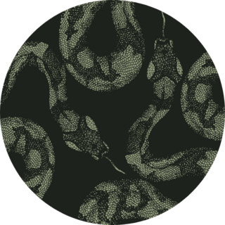 Snakes Skin Pattern On Dark Background Sticker