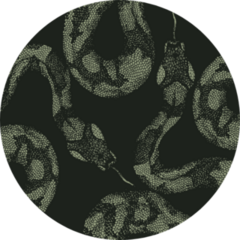Snakes Skin Pattern On Dark Background Sticker