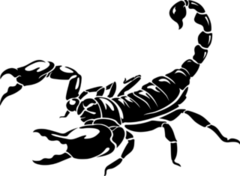 Snapping Scorpion Sticker