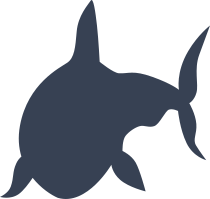 Sneaky Shark Sticker