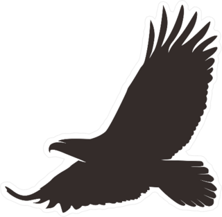 Soaring Eagle Sticker