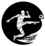 Soccer Player Kicking a Ball Sticker