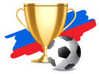 Soccer Trophy Sticker