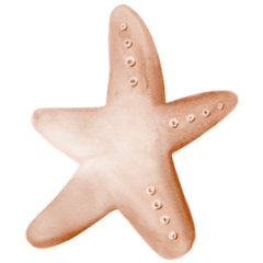 Soft Baby Starfish Sticker