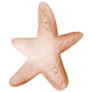 Soft Baby Starfish Sticker