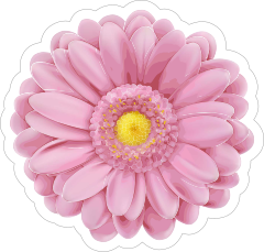 Soft Pink Daisy Flower Sticker
