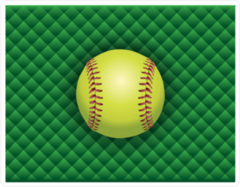 Softball On A Green Checkered Background Sticker