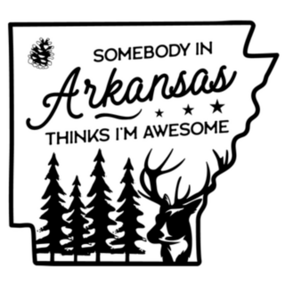 Somebody In Arkansas Thinks Im Awesome Sticker