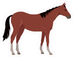 Sorrel Horse With White Legs Sticker