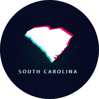 South Carolina Map Blue And Pink Sticker