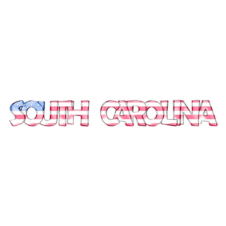 South Carolina USA Flag Lettering Sticker