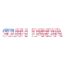 South Dakota American Flag Lettering Sticker