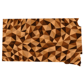 South Dakota U.s. State Polygonal Map Sticker