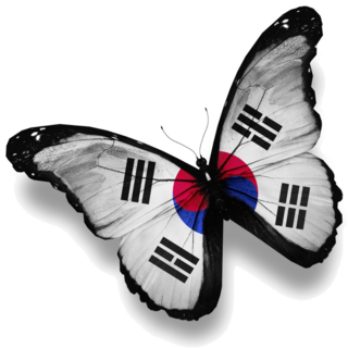 South Korea Butterfly Sticker