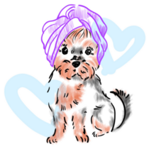 Spa Yorkshire Terrier Sticker