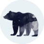 Space Bear Sticker