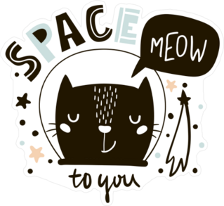 Space Meow to You Sticker