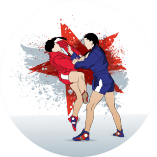 Sparring Of Two Female Wrestlers Illustration Sticker