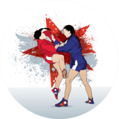 Sparring Of Two Female Wrestlers Illustration Sticker