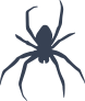 Spider Crawling Sticker