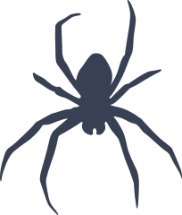 Spider Crawling Sticker
