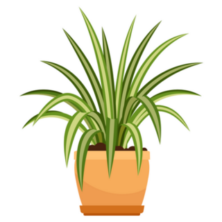 Spider Plant in Terra Cotta Pot Sticker