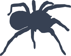 Spider Sticker