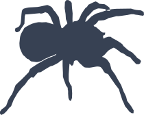 Spider Sticker