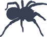 Spider Sticker
