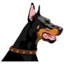 Spike Collar Doberman Sticker