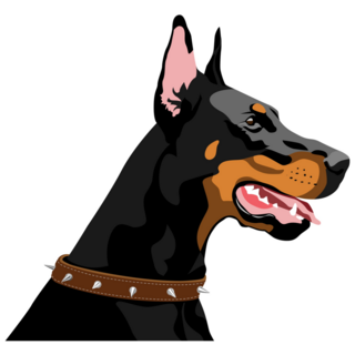 Spike Collar Doberman Sticker